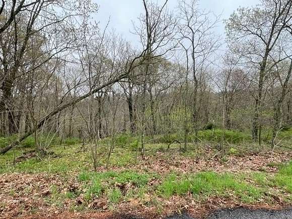 0.317 Acres of Land for Sale in Holiday Island, Arkansas