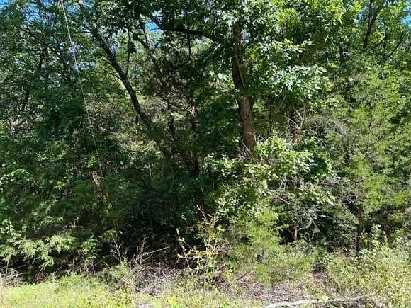 0.303 Acres of Land for Sale in Holiday Island, Arkansas