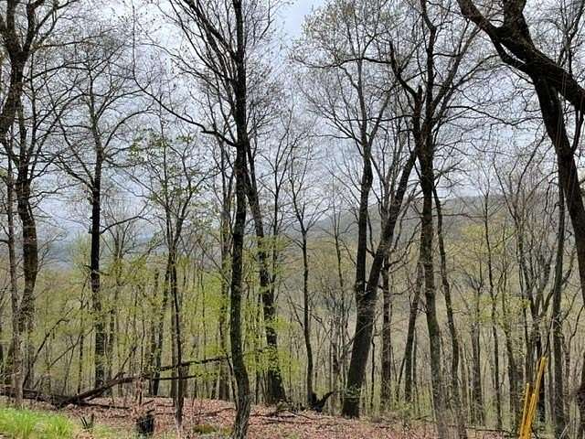 0.301 Acres of Land for Sale in Holiday Island, Arkansas