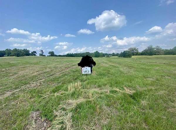 5.75 Acres of Residential Land for Sale in Big Sandy, Texas