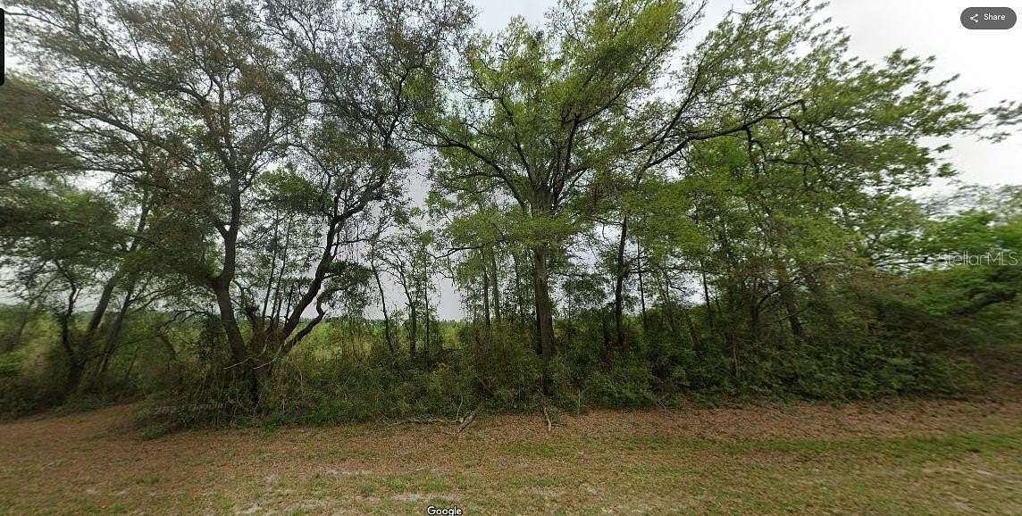1.25 Acres of Residential Land for Sale in Bell, Florida