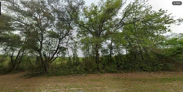 1.25 Acres of Residential Land for Sale in Bell, Florida