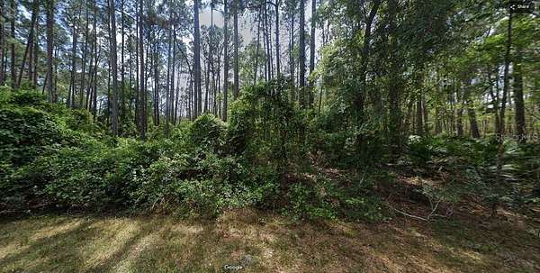 0.69 Acres of Residential Land for Sale in Georgetown, Florida