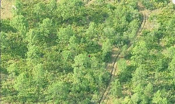 1.3 Acres of Residential Land for Sale in Orlando, Florida