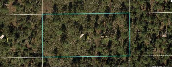 1.3 Acres of Land for Sale in Orlando, Florida