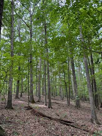 58 Acres of Recreational Land for Sale in Morgantown, Kentucky