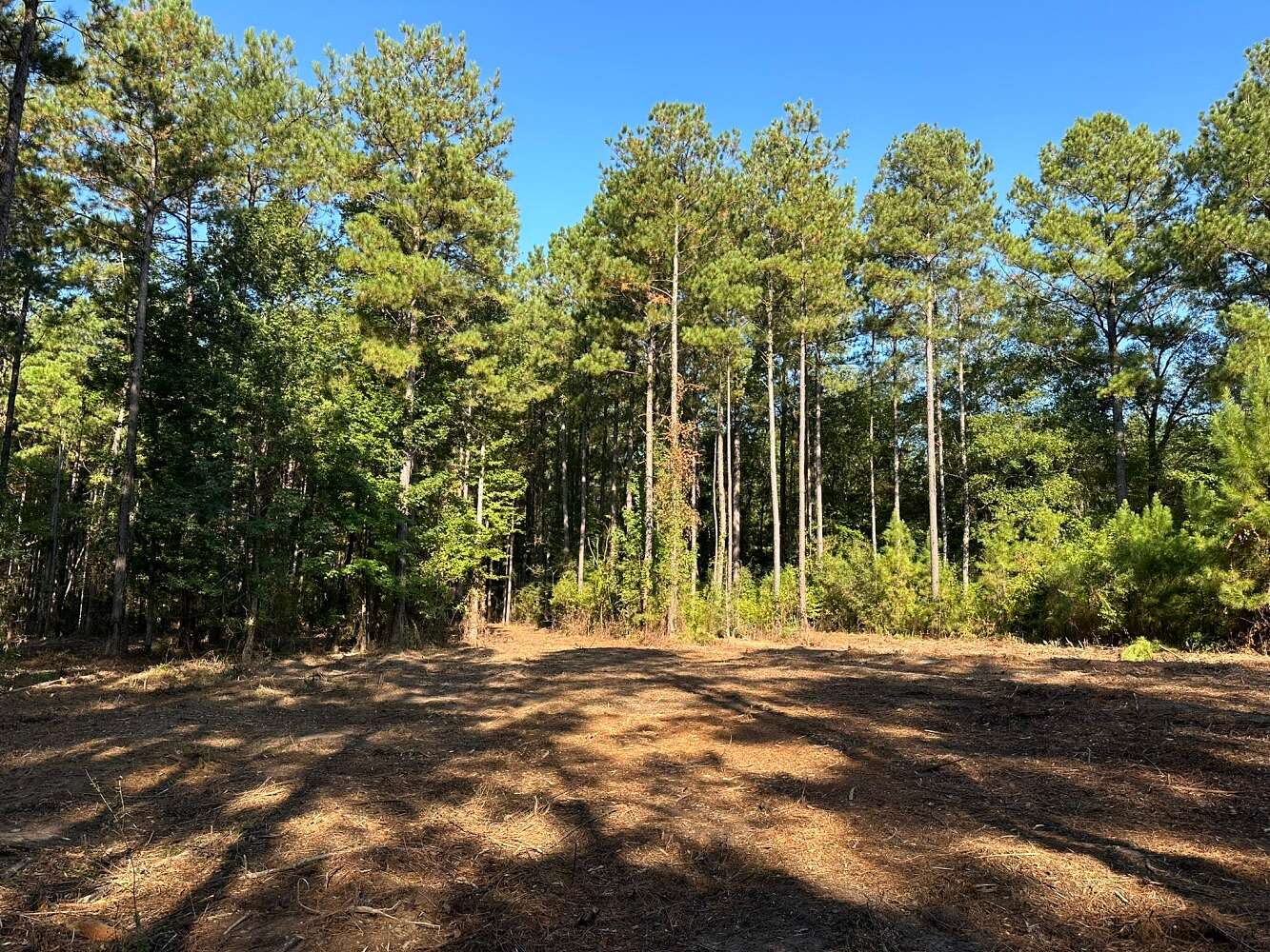 6.74 Acres of Land for Sale in Purvis, Mississippi