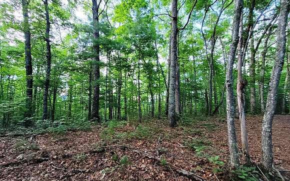 0.84 Acres of Land for Sale in Murphy, North Carolina