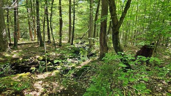 7 Acres of Residential Land for Sale in Starks, Maine