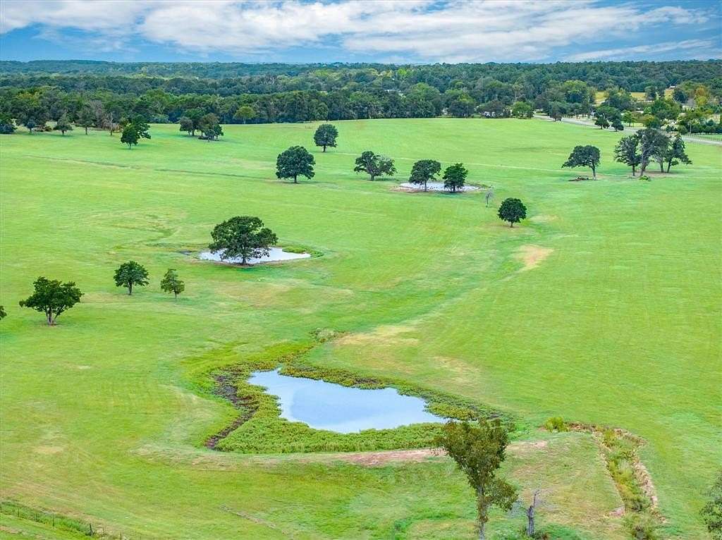 109 Acres of Agricultural Land for Sale in Ben Wheeler, Texas