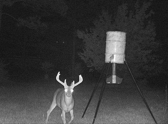 2022 Trail Cam