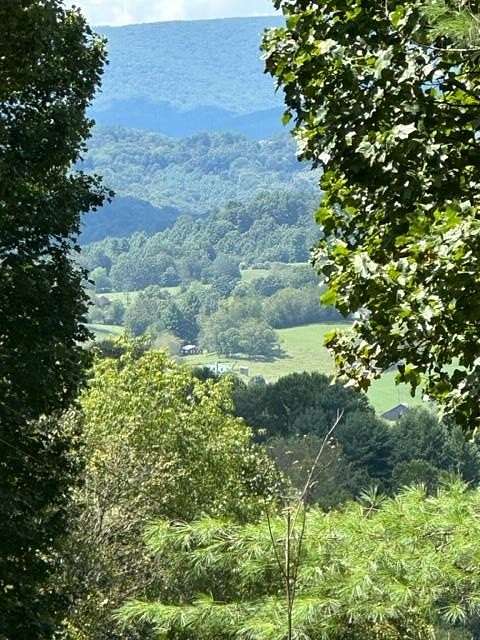 11.96 Acres of Recreational Land & Farm for Sale in Independence, Virginia