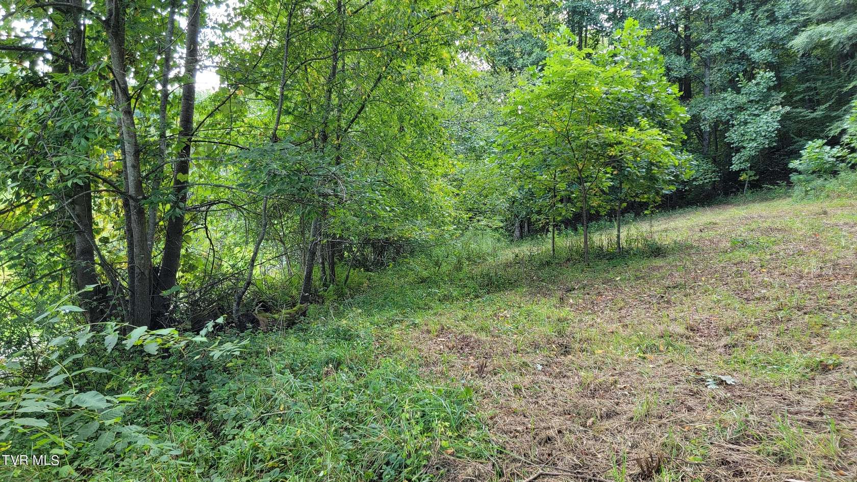 2 Acres of Land for Sale in Mountain City, Tennessee