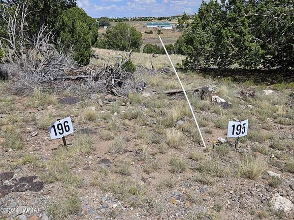 10 Acres of Residential Land for Sale in Concho, Arizona