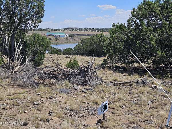 10 Acres of Residential Land for Sale in Concho, Arizona