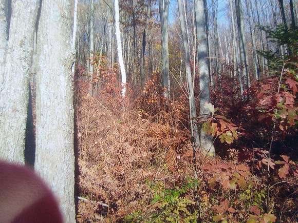 10 Acres of Land for Sale in St. Helen, Michigan