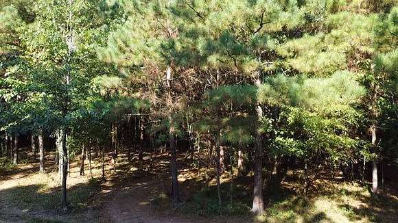 80 Acres of Land for Sale in Noxapater, Mississippi