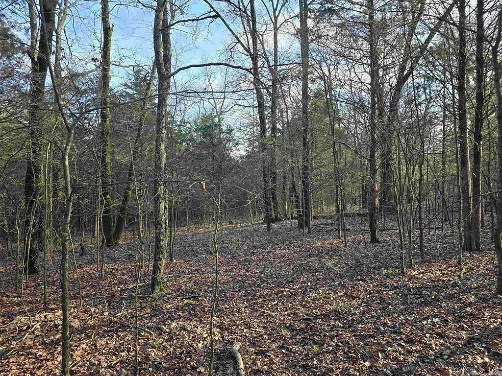 40 Acres of Recreational Land for Sale in Greenbrier, Arkansas