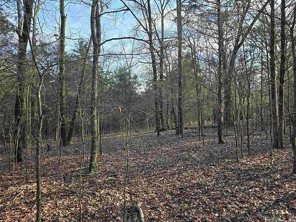 40 Acres of Recreational Land for Sale in Greenbrier, Arkansas