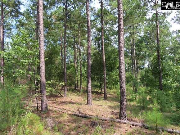 6.62 Acres of Residential Land for Sale in Winnsboro, South Carolina