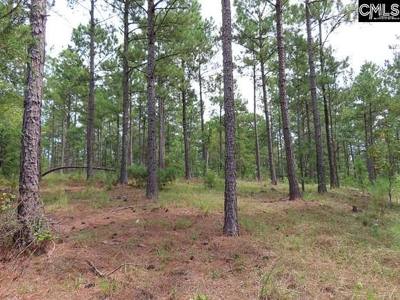 4.12 Acres of Residential Land for Sale in Winnsboro, South Carolina