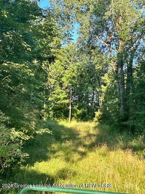 67.5 Acres of Recreational Land for Sale in Leslie, Michigan