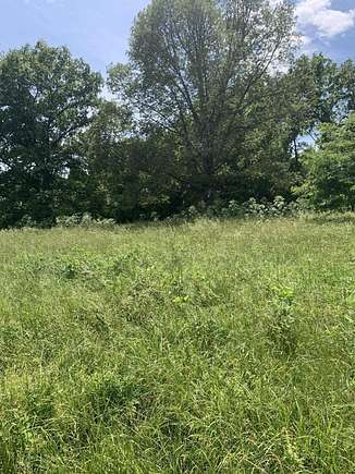 10.18 Acres of Land for Sale in Clever, Missouri