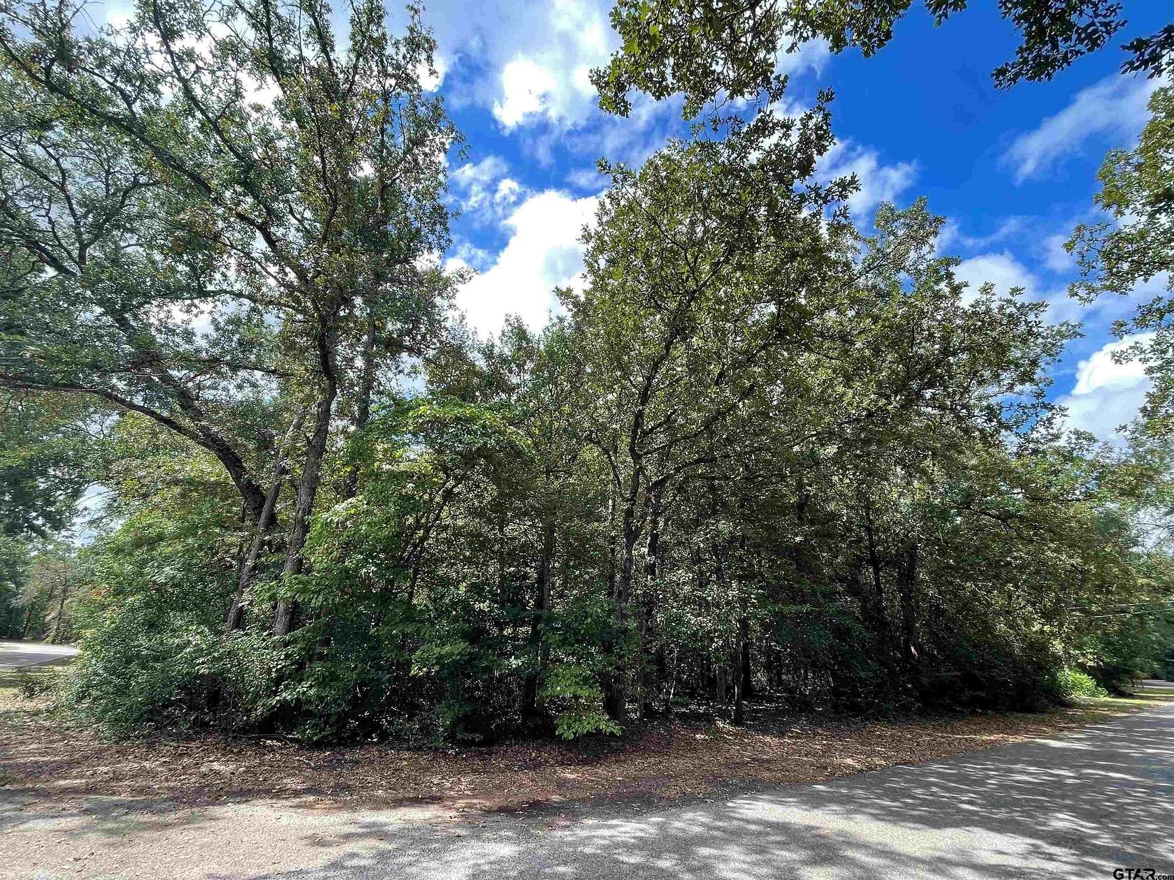 0.18 Acres of Land for Sale in Holly Lake Ranch, Texas
