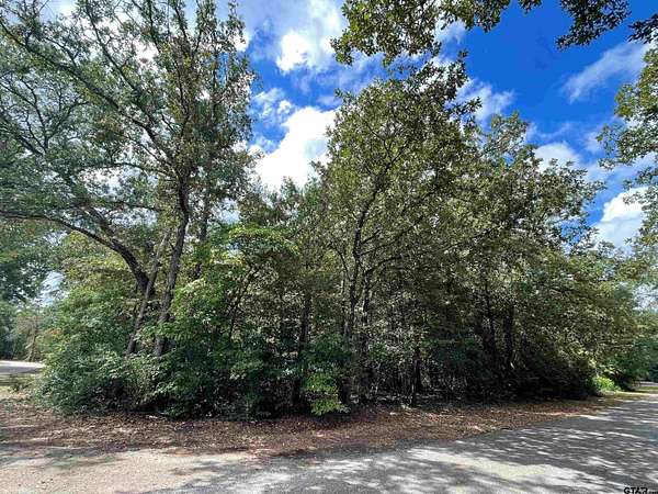 0.18 Acres of Land for Sale in Holly Lake Ranch, Texas