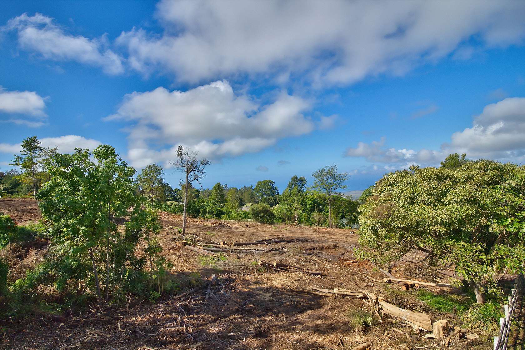 1 Acre of Residential Land for Sale in Kailua, Hawaii