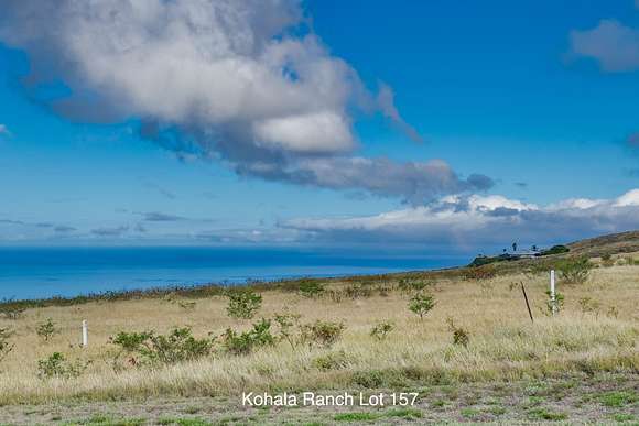 11.925 Acres of Land for Sale in Waimea, Hawaii