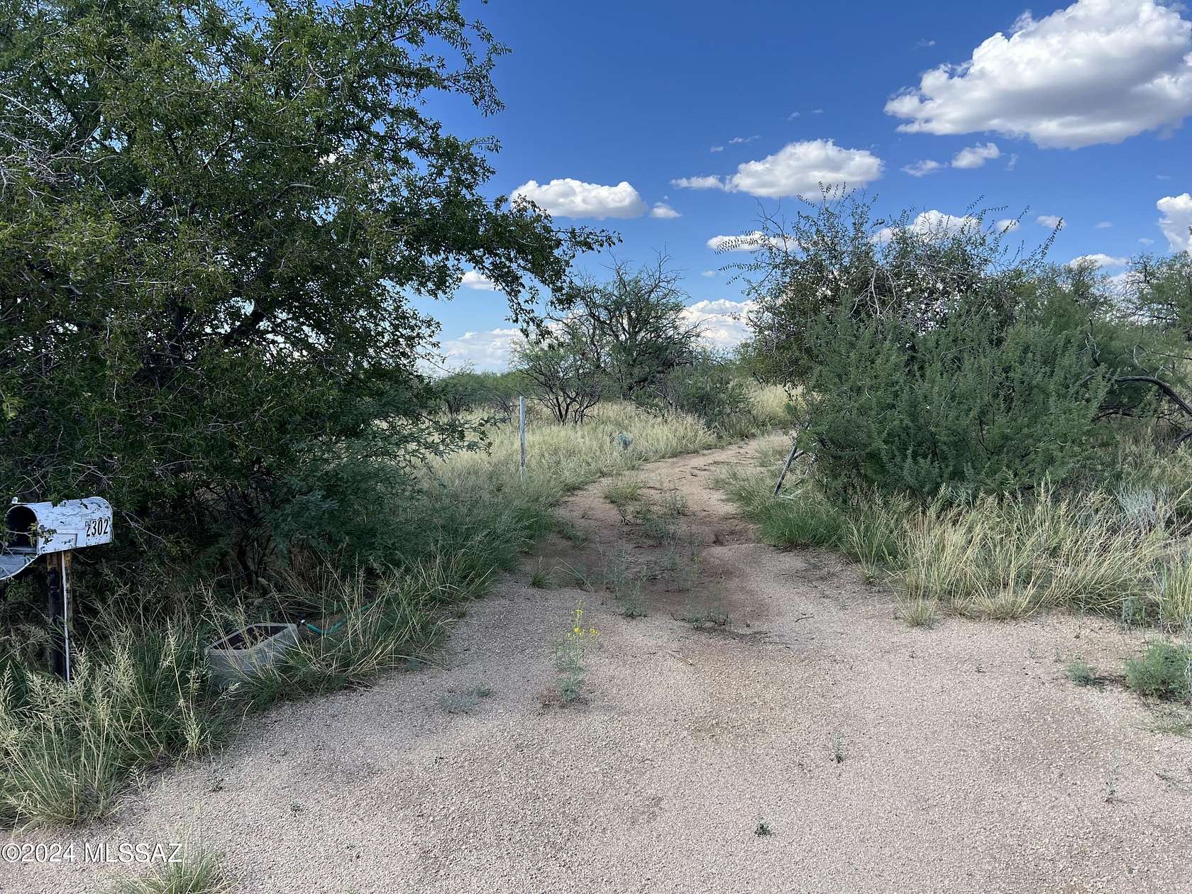 4 Acres of Residential Land for Sale in Oracle, Arizona