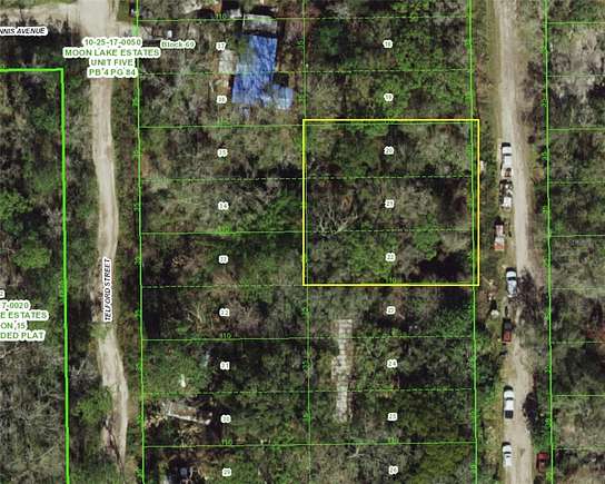 0.27 Acres of Residential Land for Sale in New Port Richey, Florida