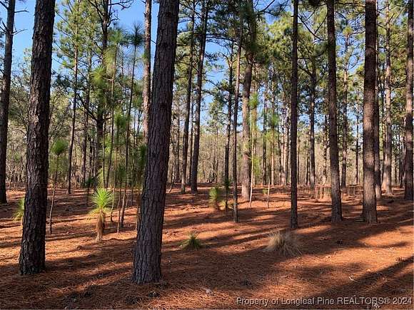 5.12 Acres of Residential Land for Sale in Aberdeen, North Carolina