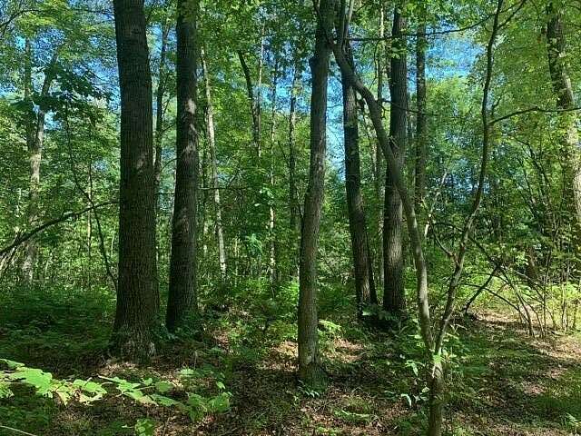 2.07 Acres of Residential Land for Sale in Nunica, Michigan