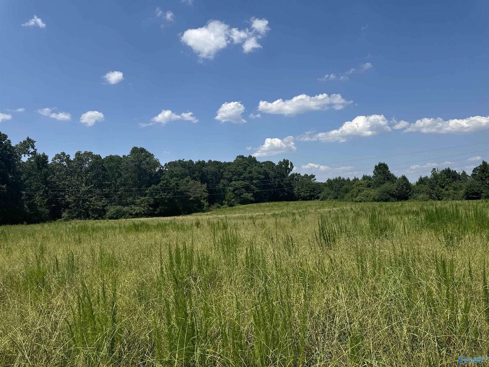 51 Acres of Agricultural Land for Sale in Crossville, Alabama