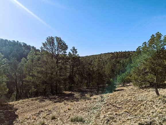 0.55 Acres of Residential Land for Sale in Timberon, New Mexico