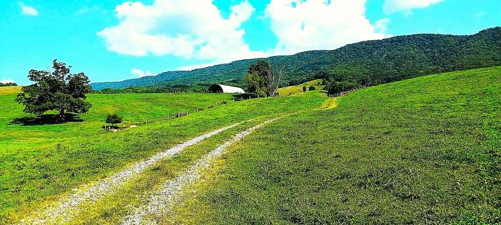 450 Acres of Recreational Land & Farm for Sale in Tazewell, Virginia