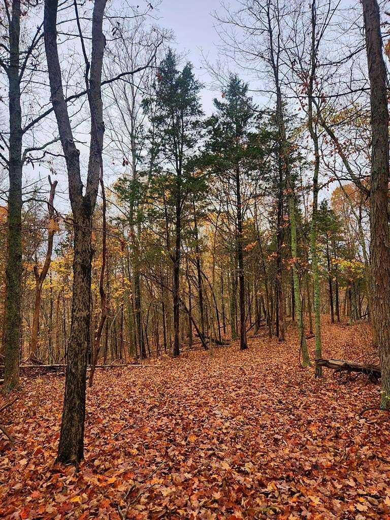 54 Acres of Recreational Land for Sale in Mount Olivet, Kentucky