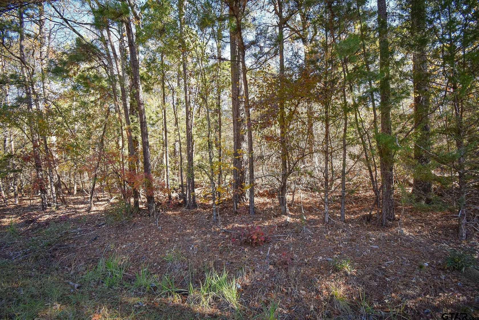 10.51 Acres of Land for Sale in Tyler, Texas