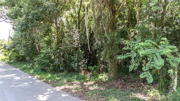 0.92 Acres of Mixed-Use Land for Sale in Leesburg, Florida