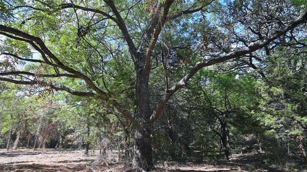 12.99 Acres of Recreational Land for Sale in Montague, Texas