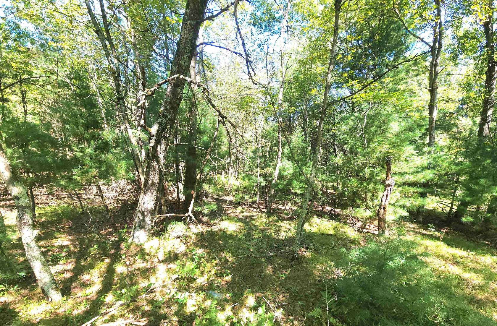 39 Acres of Land for Sale in Hixton, Wisconsin