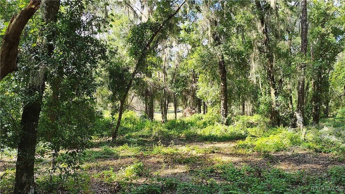 3.81 Acres of Residential Land for Sale in Floral City, Florida