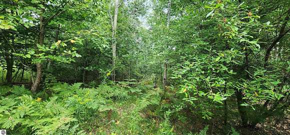 10.07 Acres of Recreational Land for Sale in Manistee, Michigan