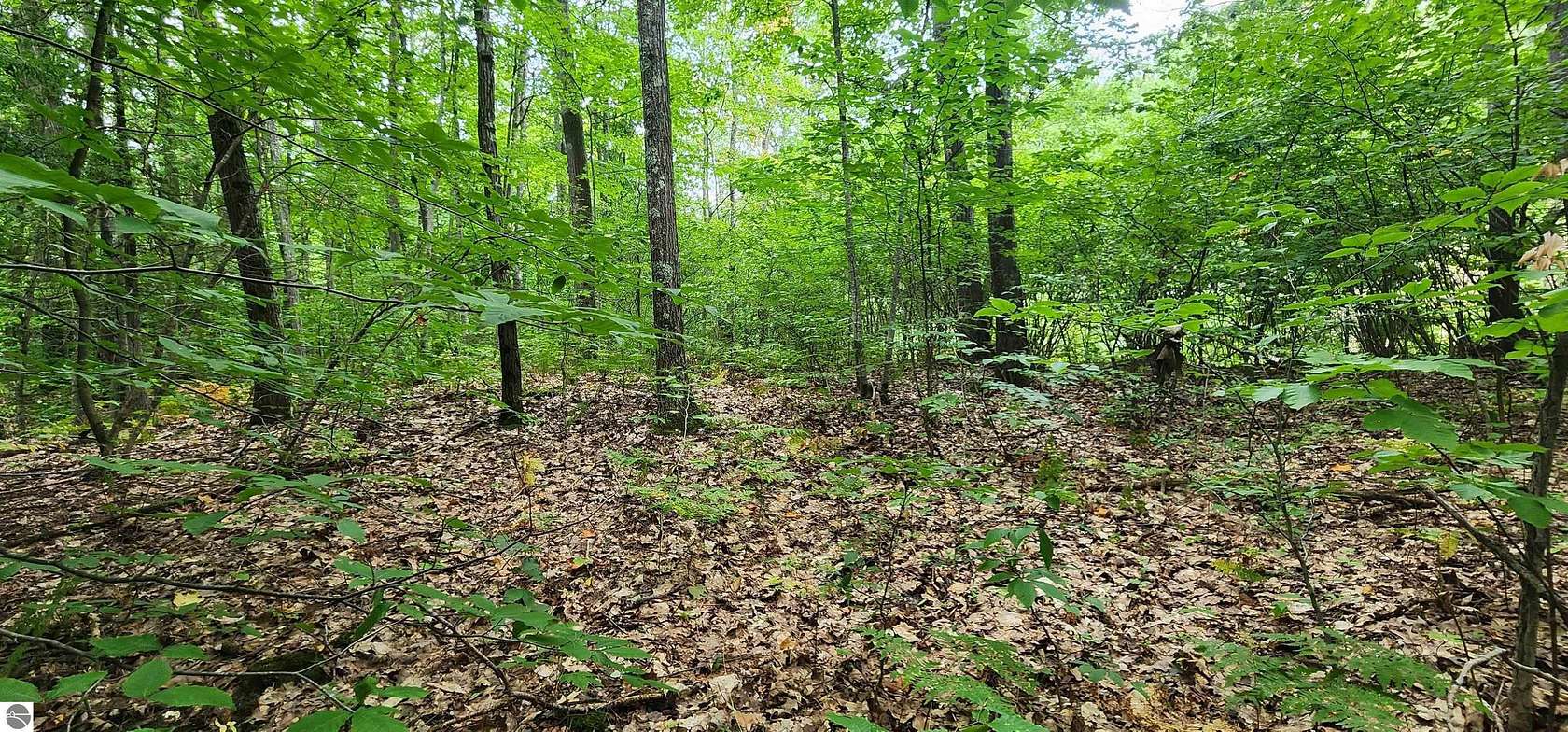 33 Acres of Recreational Land for Sale in Manistee, Michigan