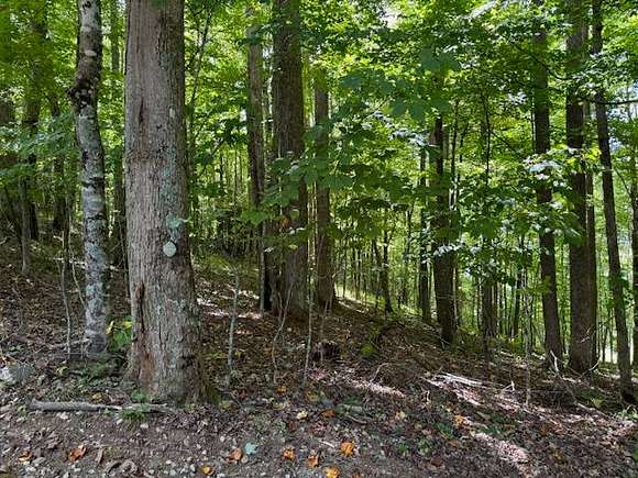 0.7 Acres of Residential Land for Sale in Elk Park, North Carolina