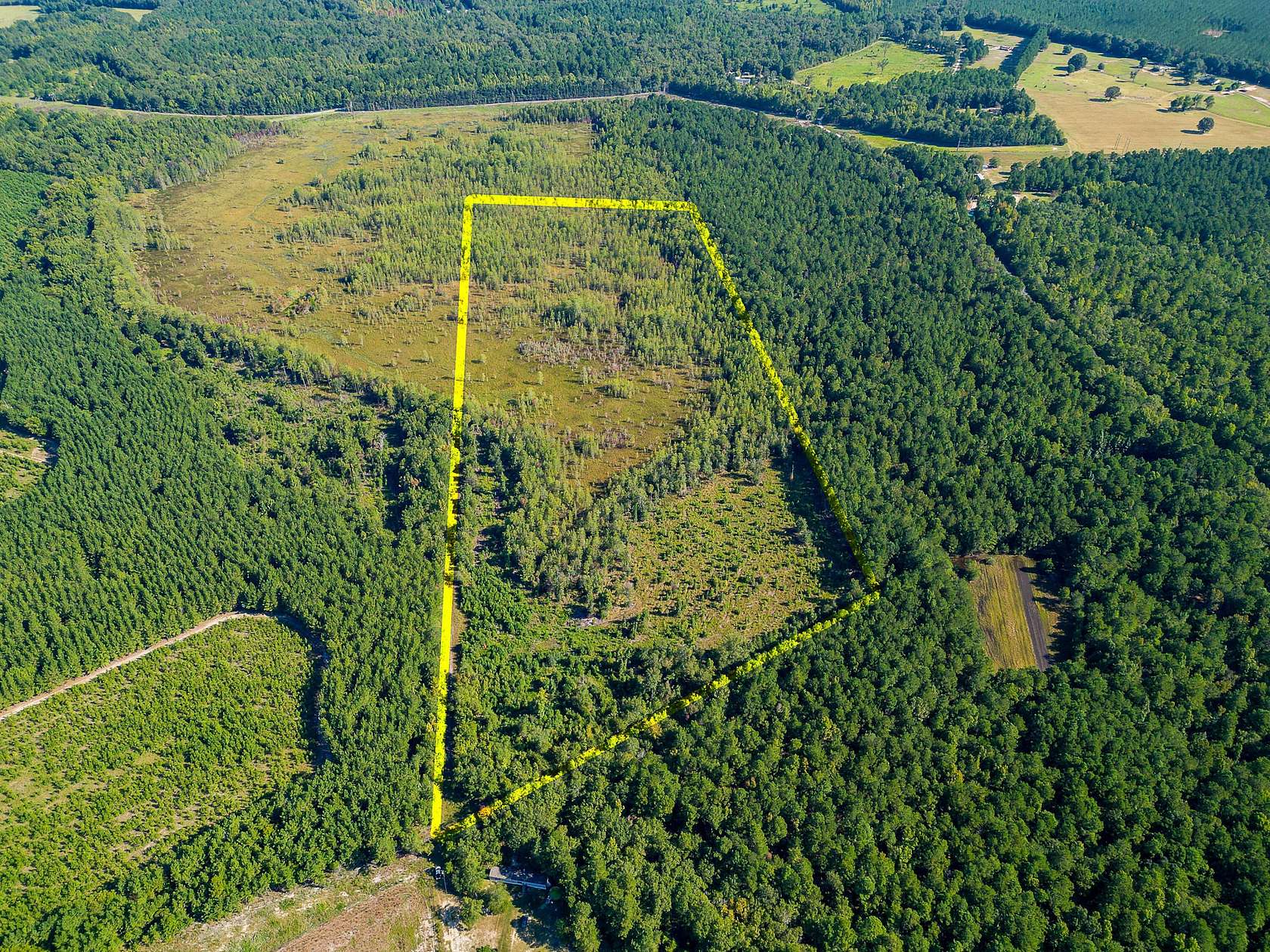 42.62 Acres of Land for Sale in Barnwell, South Carolina