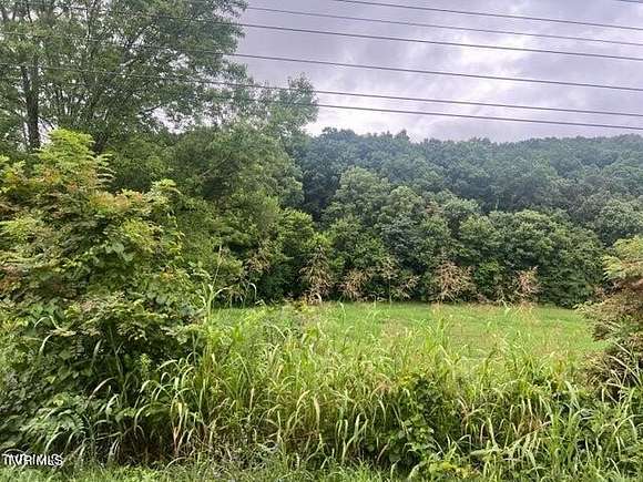 23.8 Acres of Land for Sale in Chuckey, Tennessee