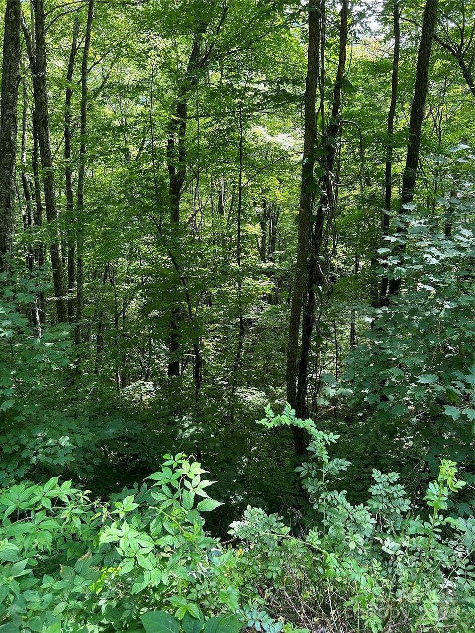 1.386 Acres of Residential Land for Sale in Maggie Valley, North Carolina